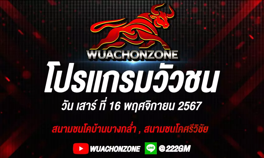 โปรเเกรมวัวชน วันที่16