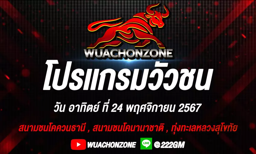 โปรเเกรมวัวชน วันที่ 24 พฤศจิกายน 2567
