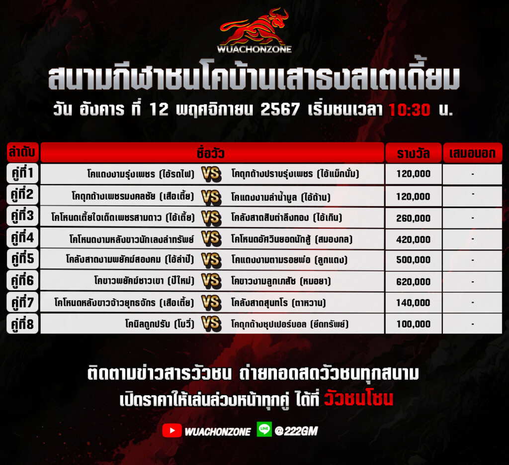 โปรแกรมวัวชน เสาธง วันที่12