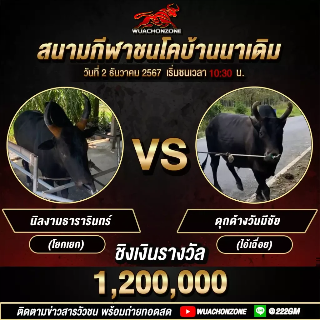 คูเอกสนามนาเดิม วันที่ 2