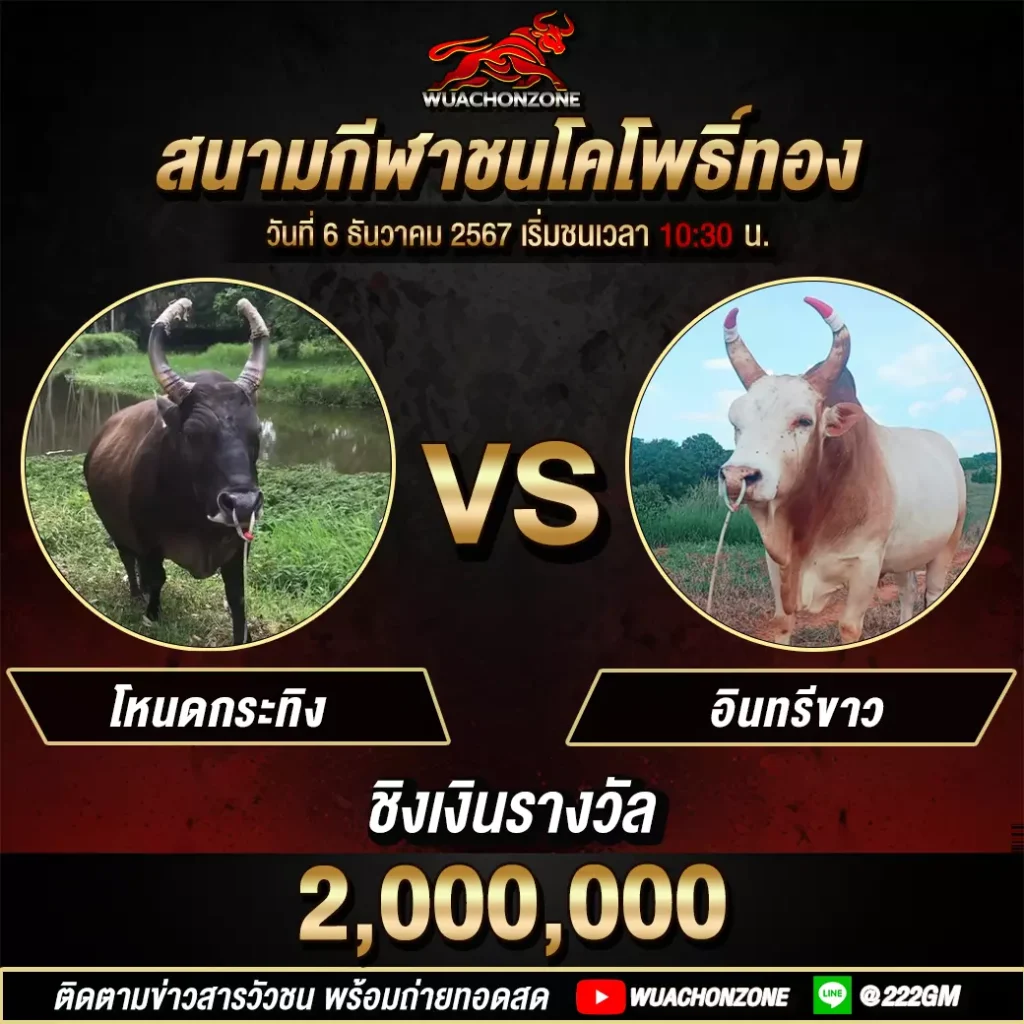 โพธิ์ทอง วันที 6 ธันวาคม 2567