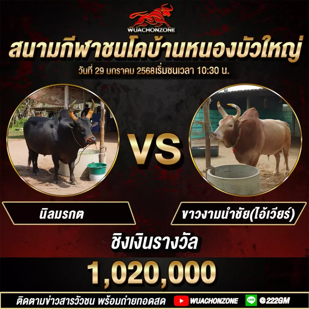คู่ล้าน หนองบัวใหญ่ วันที่ 29 มกราคม 2568