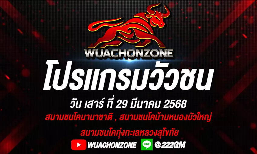 โปรแกรมวัวชน วันที่ 29 มีนาคม 2568