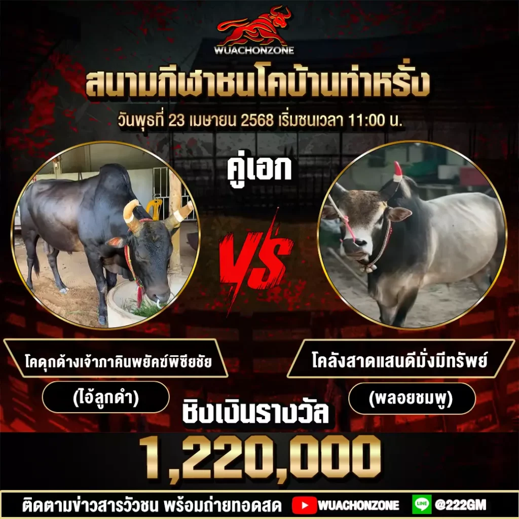โปรแกรมวัวชน วันที่ 23 เมษายน 2568