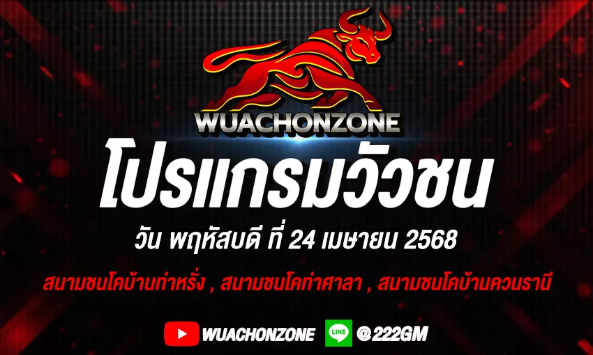 โปรแกรมวัวชน วันที่ 24 เมษายน 2568