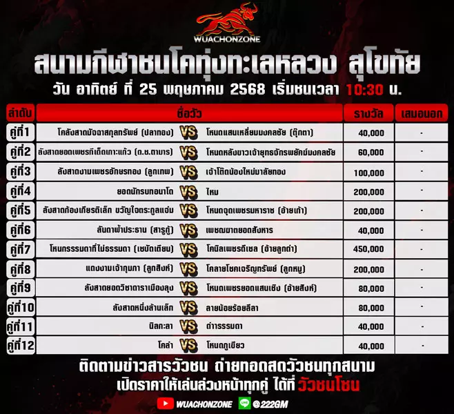 โปรแกรมวัวชน วันที่ 25 พฤษภาคม 2568
